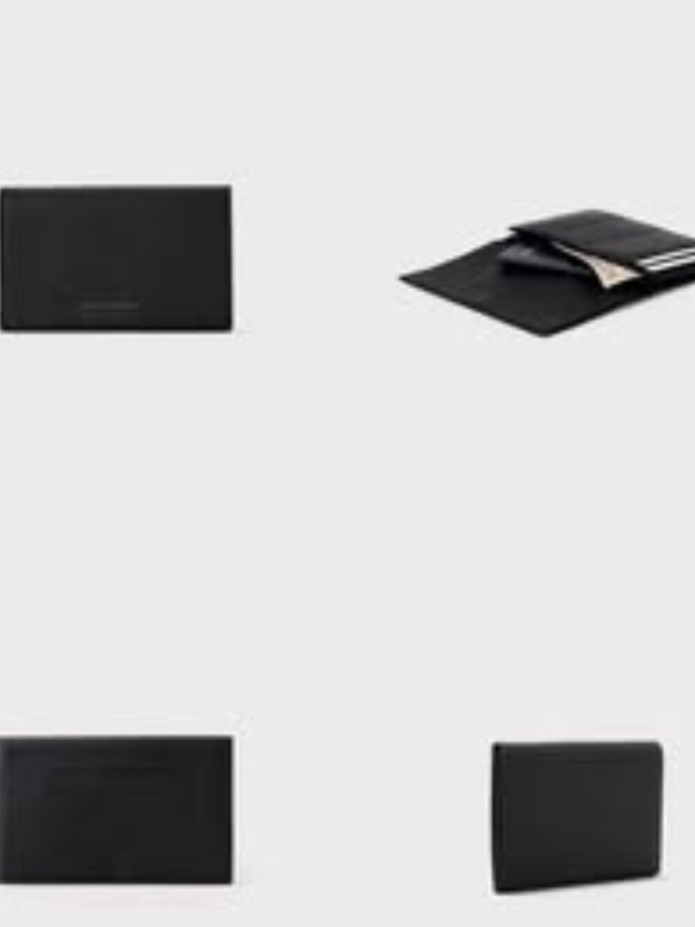 Accordion Travel Wallet